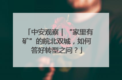 中安观察｜“家里有矿”的皖北双城，如何答好转型之问？