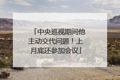中央巡视期间他主动交代问题！上月底还参加会议