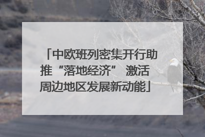 中欧班列密集开行助推“落地经济” 激活周边地区发展新动能