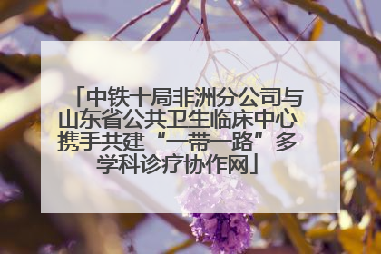 中铁十局非洲分公司与山东省公共卫生临床中心携手共建“一带一路”多学科诊疗协作网