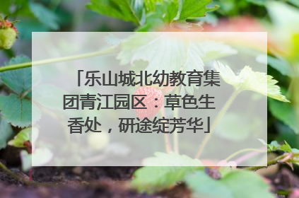 乐山城北幼教育集团青江园区：草色生香处，研途绽芳华