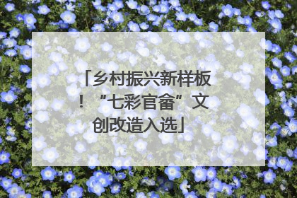 乡村振兴新样板！“七彩官畲”文创改造入选