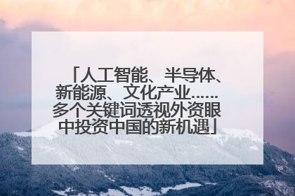 人工智能、半导体、新能源、文化产业……多个关键词透视外资眼中投资中国的新机遇