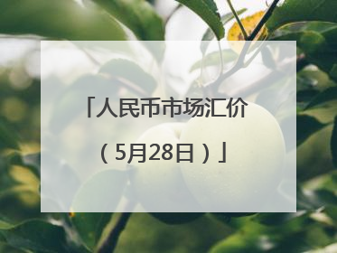 人民币市场汇价（5月28日）