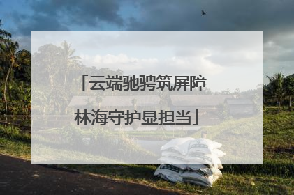 云端驰骋筑屏障 林海守护显担当