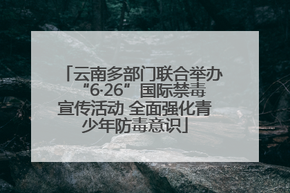 云南多部门联合举办“6·26”国际禁毒宣传活动 全面强化青少年防毒意识