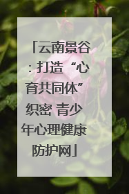 云南景谷：打造“心育共同体”织密 青少年心理健康防护网
