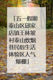 五一假期泰山区邱家店镇王林坡村泰山炊烟巷民俗生活体验区人气爆棚