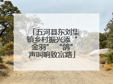 五河县东刘集镇乡村振兴添“金羽” “鸽”声叫响致富路