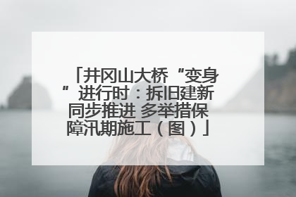 井冈山大桥“变身”进行时：拆旧建新同步推进 多举措保障汛期施工（图）