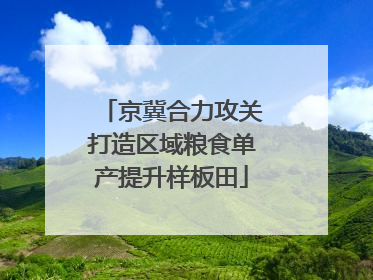 京冀合力攻关打造区域粮食单产提升样板田