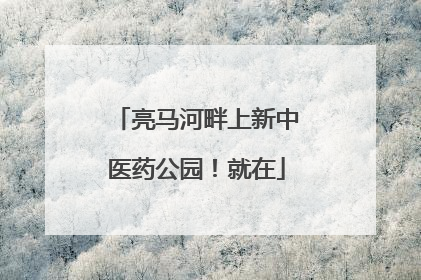 亮马河畔上新中医药公园！就在