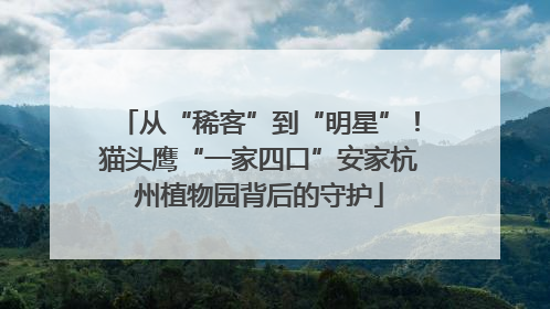 从“稀客”到“明星”！猫头鹰“一家四口”安家杭州植物园背后的守护