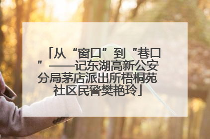从“窗口”到“巷口”——记东湖高新公安分局茅店派出所梧桐苑社区民警樊艳玲
