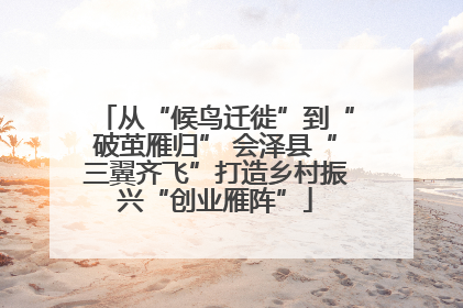 从“候鸟迁徙”到“破茧雁归” 会泽县“三翼齐飞”打造乡村振兴“创业雁阵”