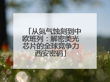 从氮气蚀刻到中欧班列：解密美光芯片的全球竞争力西安密码