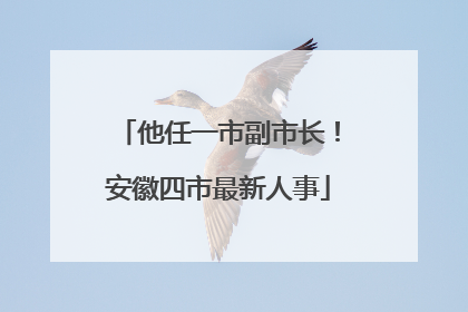 他任一市副市长！安徽四市最新人事