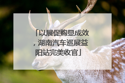 以展促购显成效，湖南汽车巡展益阳站完美收官