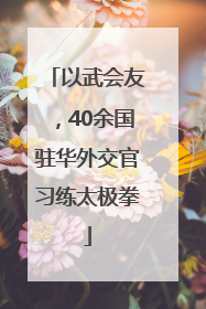 以武会友，40余国驻华外交官习练太极拳