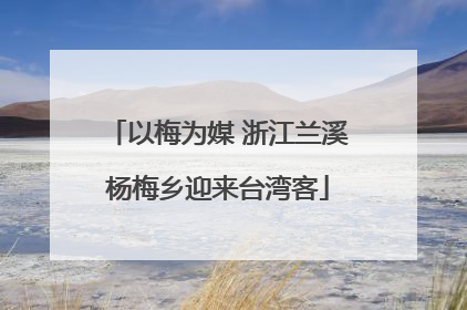 以梅为媒 浙江兰溪杨梅乡迎来台湾客
