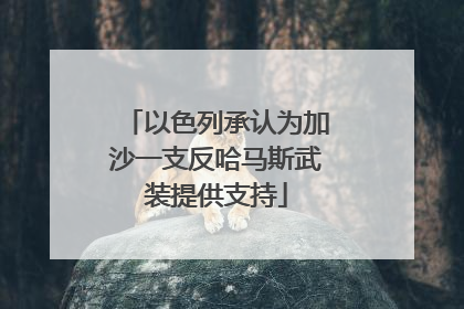 以色列承认为加沙一支反哈马斯武装提供支持