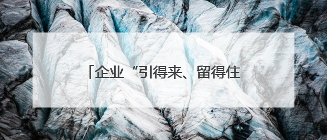 企业“引得来、留得住、成长好”，普陀“营商引力场”是如何炼就的