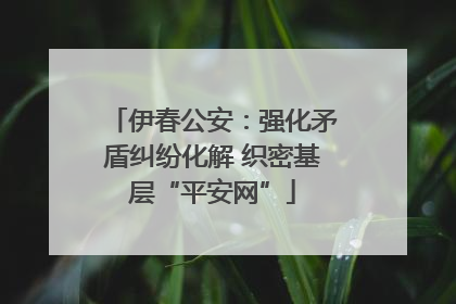 伊春公安：强化矛盾纠纷化解 织密基层“平安网”