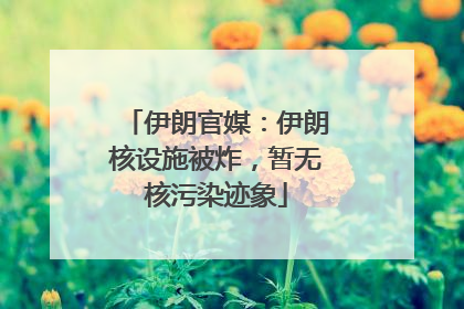 伊朗官媒：伊朗核设施被炸，暂无核污染迹象