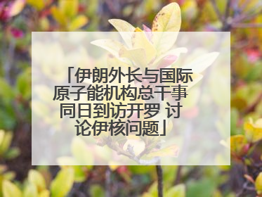 伊朗外长与国际原子能机构总干事同日到访开罗 讨论伊核问题