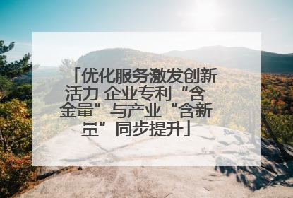 优化服务激发创新活力 企业专利“含金量”与产业“含新量”同步提升