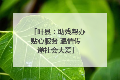 叶县：助残帮办贴心服务 温情传递社会大爱