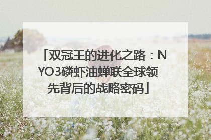 双冠王的进化之路：NYO3磷虾油蝉联全球领先背后的战略密码