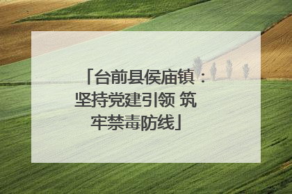 台前县侯庙镇：坚持党建引领 筑牢禁毒防线
