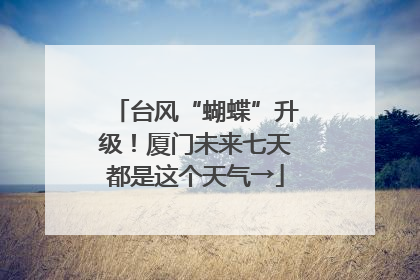 台风“蝴蝶”升级！厦门未来七天都是这个天气→