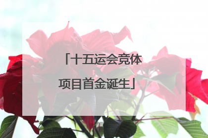 十五运会竞体项目首金诞生