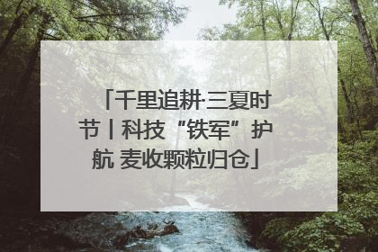 千里追耕·三夏时节丨科技“铁军”护航 麦收颗粒归仓