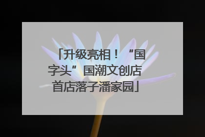 升级亮相！“国字头”国潮文创店首店落子潘家园