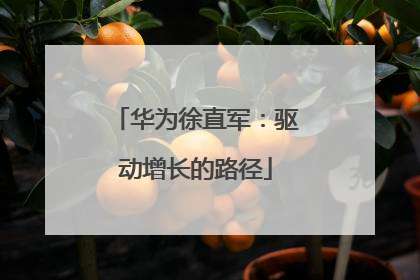 华为徐直军：驱动增长的路径