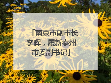南京市副市长李晖，履新泰州市委副书记