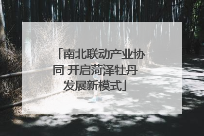 南北联动产业协同 开启菏泽牡丹发展新模式