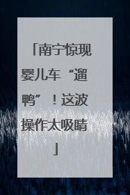 南宁惊现婴儿车“遛鸭”！这波操作太吸睛