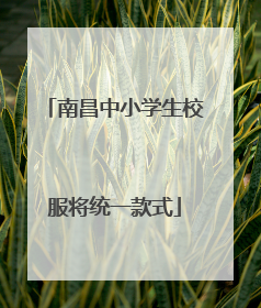 南昌中小学生校服将统一款式
