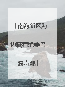 南海新区海边藏着绝美鸟浪奇观