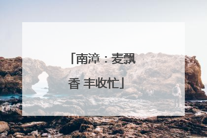 南漳：麦飘香 丰收忙
