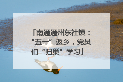 南通通州东社镇：“五一”返乡，党员们“归巢”学习