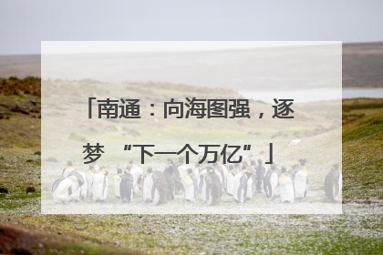 南通：向海图强，逐梦 “下一个万亿”