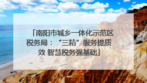 南阳市城乡一体化示范区税务局：“三精”服务提质效 智慧税务强基础
