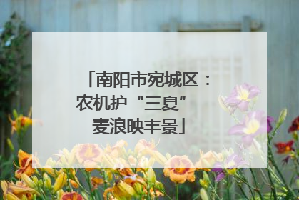 南阳市宛城区：农机护“三夏” 麦浪映丰景