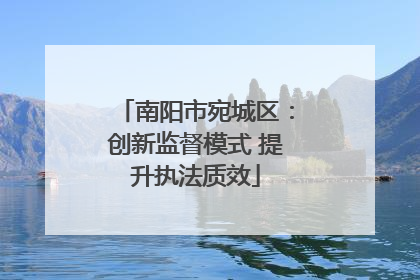 南阳市宛城区：创新监督模式 提升执法质效