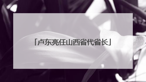 卢东亮任山西省代省长